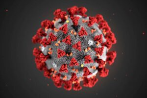 corona virus