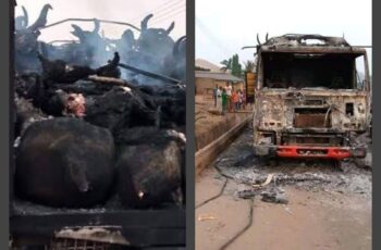 angry mob set cattle truck ablaze