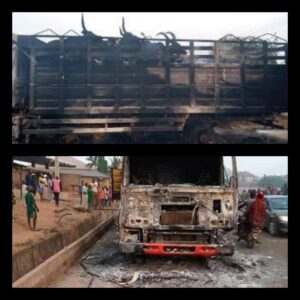 angry mob set cattle truck ablaze