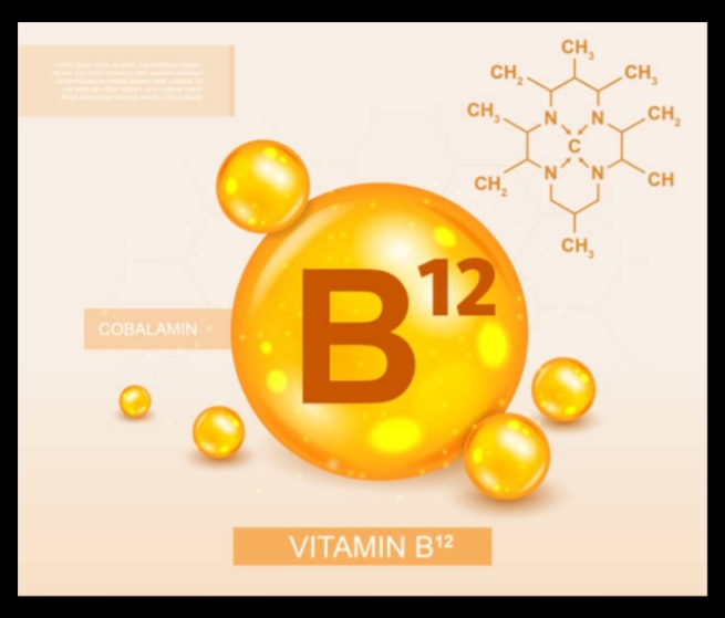 Health: Knowing The Importance Of The Vitamin B12