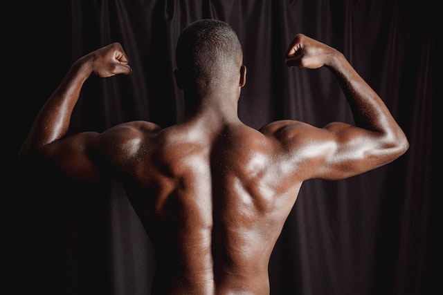 Why your muscle stop growing